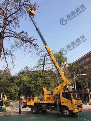 树枝修剪